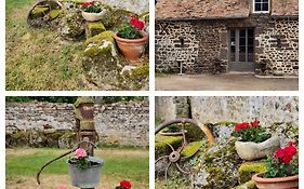Les Naturelles
